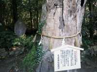 瀨戶內海國立公園-大三島 大山祇神社