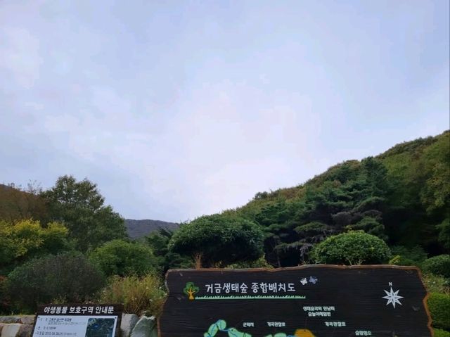 Wandering Around Sorokdo