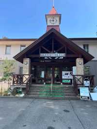 日本親子遊🇯🇵東京近郊，放羊體驗，千本松牧場🐴🐰🐄🐃🐑