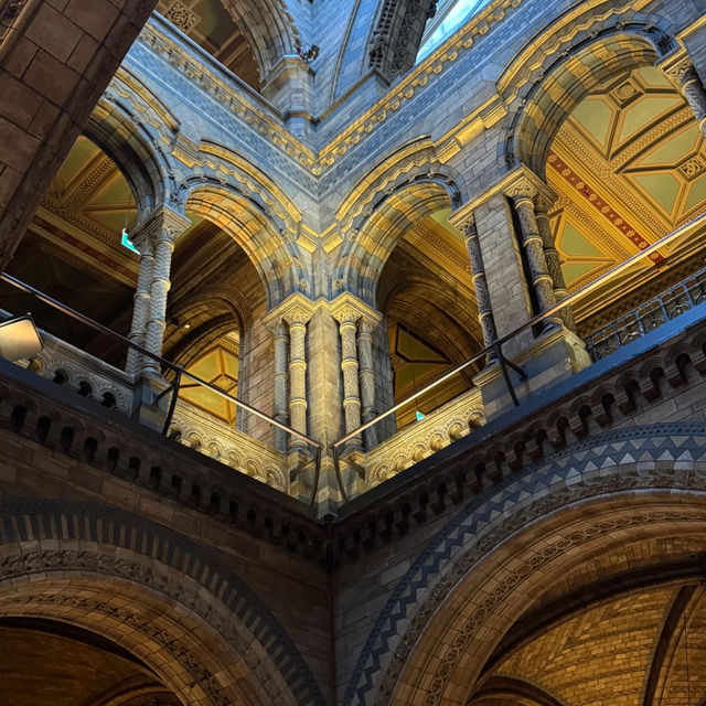 Don't Miss This Free Museum in London! 🦖🦋
