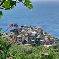 Cinque Terre Coastal Trails – Italy