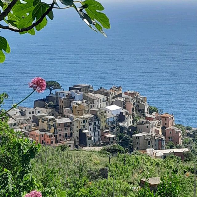 Cinque Terre Coastal Trails – Italy