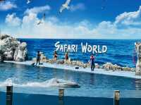 Don’t miss this in Bangkok: A day of thrills and unforgettable shows! 