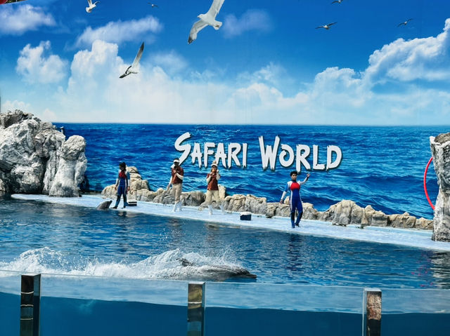 Don’t miss this in Bangkok: A day of thrills and unforgettable shows! 