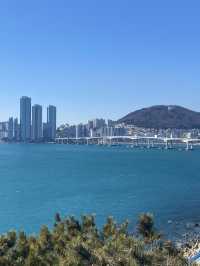 부산바다의 시원함을 제대로 느낄 수 있는 1박 2일 부산여행코스🌊