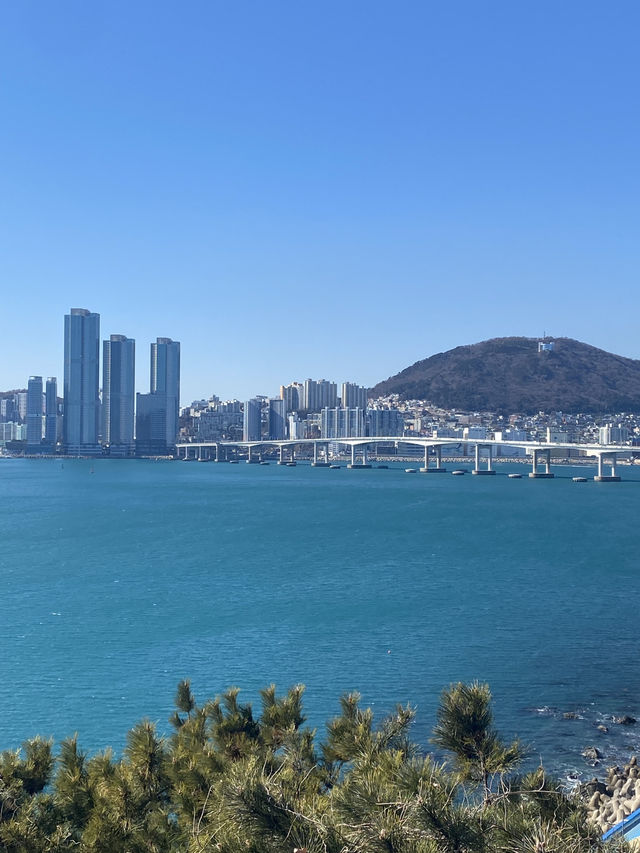 부산바다의 시원함을 제대로 느낄 수 있는 1박 2일 부산여행코스🌊