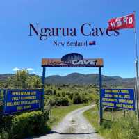 Ngarua Caves: Exploring a Super Underrated Underground Gem! 🦇✨