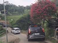 View around Bogor rural areas