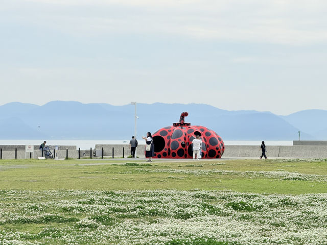 腳踏車環直島