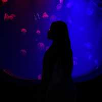 Aquarium Phuket 