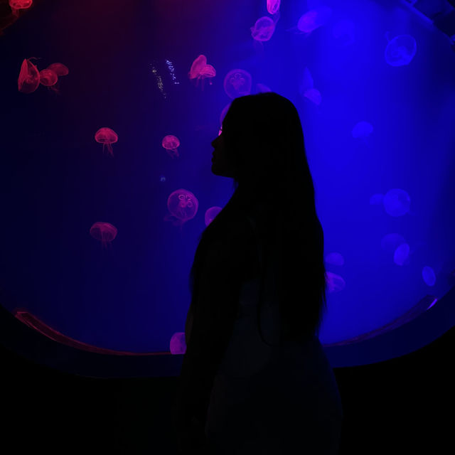 Aquarium Phuket 