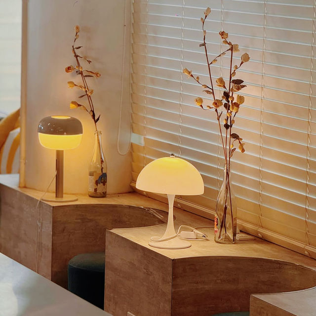 A Hidden Gem of Cozy Elegance