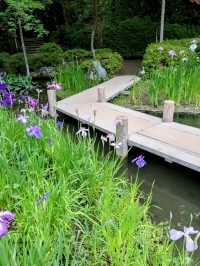 京都 | 平安神宮神苑，彷彿走入莫內的花園