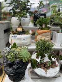 Summer Vibes & Plant Finds 