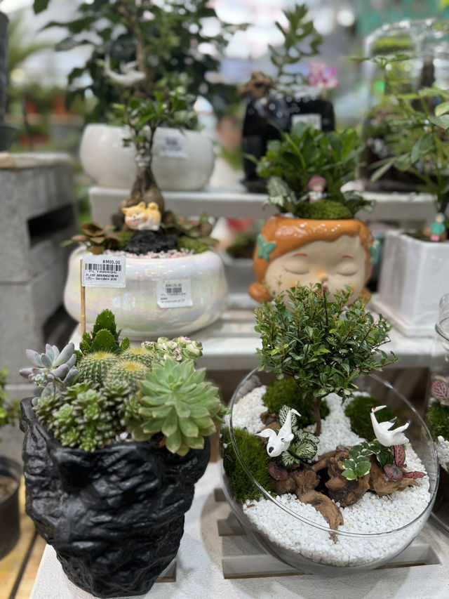 Summer Vibes & Plant Finds 
