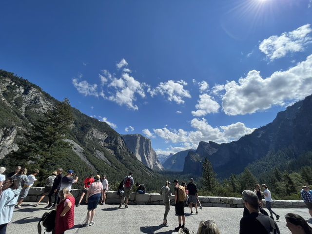 🌲 요세미티 밸리 로지 (Yosemite Valley Lodge)
