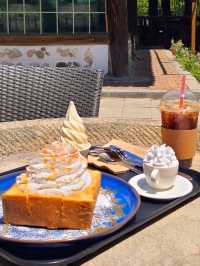 삼척산속 대궐같은 한옥에서  커피한잔 ☕️대궐카페