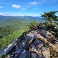 Big Views & Forest Feels in Hwangjangsan