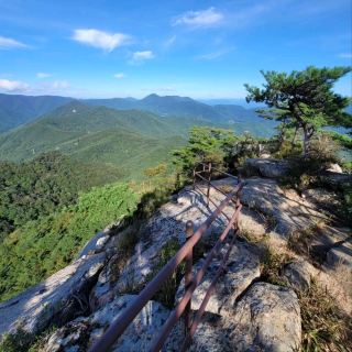 Big Views & Forest Feels in Hwangjangsan