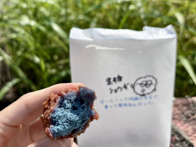 １泊2日自転車で巡る宮古島🏝️🚴