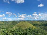 Captivating Beauty of Bohol
