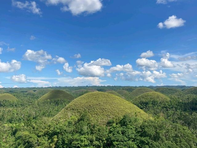 Captivating Beauty of Bohol