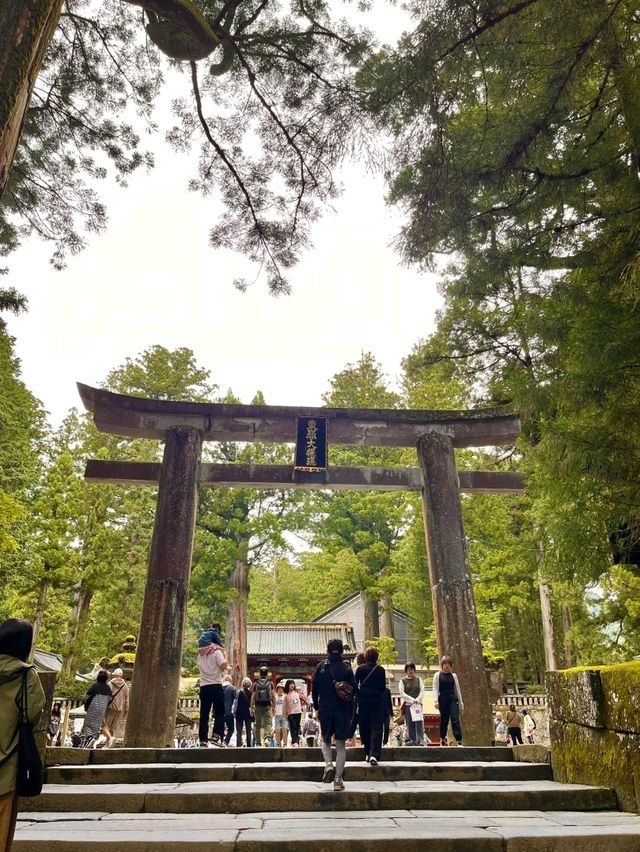 A Grand welcome to Toshogu Shrine, the Omotemon and the Gojunoto Five Story Pagoda