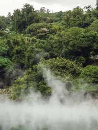 🌋 **Beitou Thermal Valley Summer Day Trip** *"A geothermal wonderland with cooling surprises