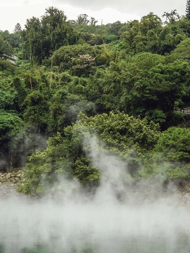 🌋 **Beitou Thermal Valley Summer Day Trip** *"A geothermal wonderland with cooling surprises