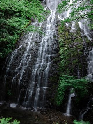 [A trip to Ryusogataki waterfall to cleanse your soul] Negative ions at full throttle in a hidden area of ​​Fukui🌿💧