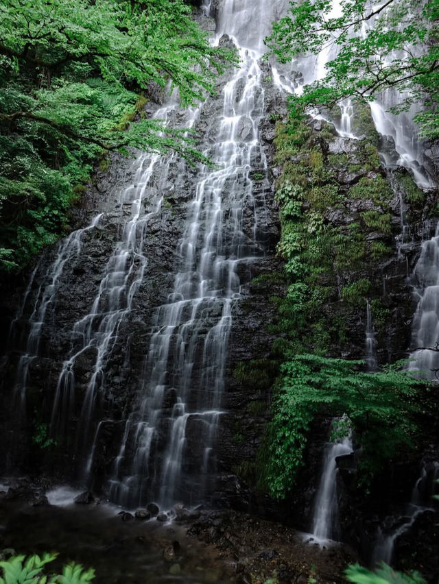 【龍双ヶ滝で心洗われる滝旅】福井の秘境でマイナスイオン全開🌿💧