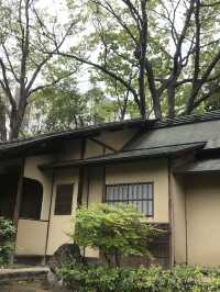 【東京　浅草寺と伝法院庭園、にぎわう寺町を歩く】