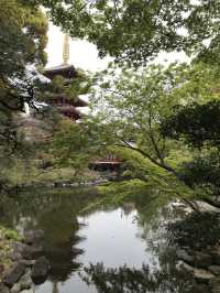 【東京　浅草寺と伝法院庭園、にぎわう寺町を歩く】