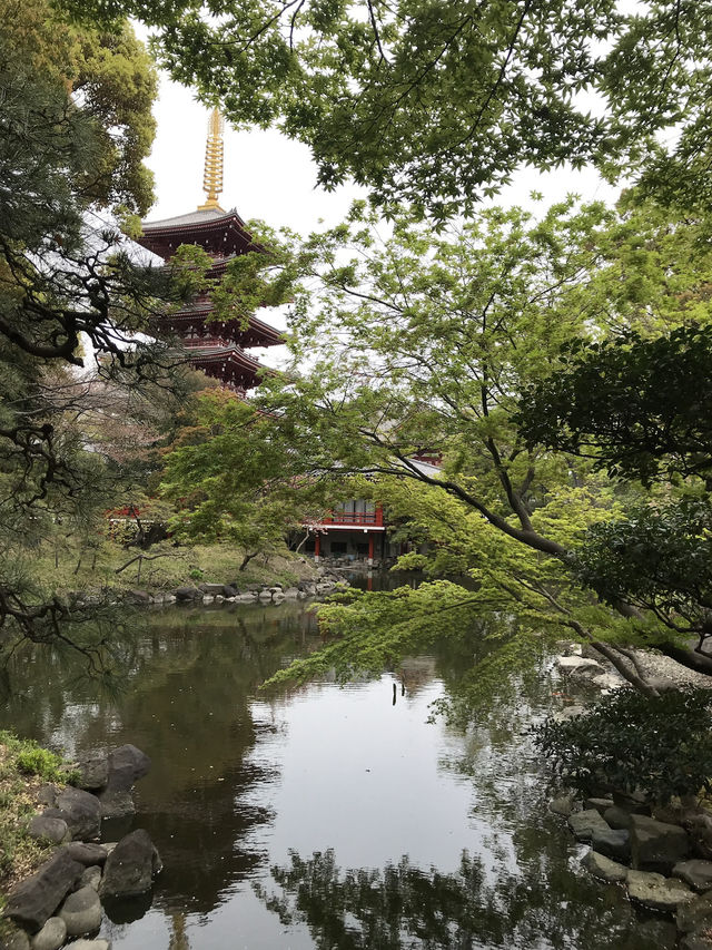 【東京　浅草寺と伝法院庭園、にぎわう寺町を歩く】