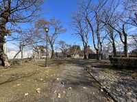 🏞️ Strolling Through History – Morioka Castle Site Park (Iwate Park)