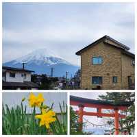 นั่งชม Mt. Fuji ที่ Fujiyoshida