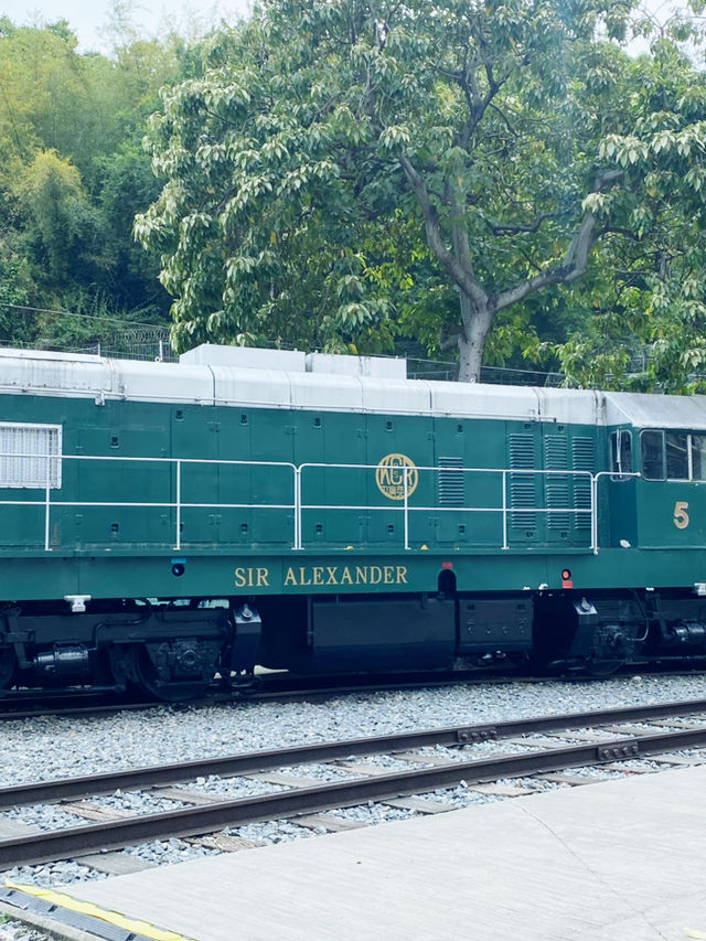The MTR Museum Hong Kong: A Compact Journey Through Transit History