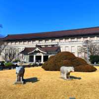Tokyo National Museum for half price with a student ID card!