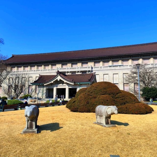 Tokyo National Museum for half price with a student ID card!