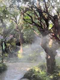 🌿✨ Discover Dantewada’s Land of Angels Waterfall Park – Chiang Mai’s Fairy‑Tale Escape ✨🌿