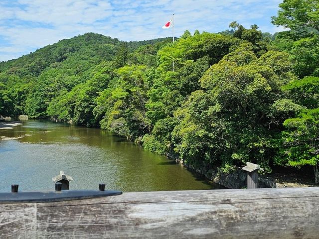 通往神域的入口〔伊勢神宮 宇治橋〕⛩️🌉