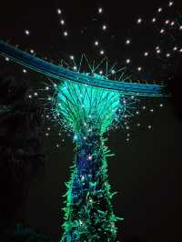 OCBC Skyway at Gardens by the Bay – A Must-Visit Nighttime Spectacle in Singapore