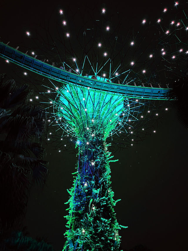 OCBC Skyway at Gardens by the Bay – A Must-Visit Nighttime Spectacle in Singapore