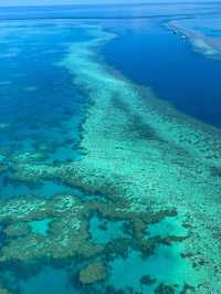 🐠【海の楽園へダイブ】グレート・バリア・リーフで夢のようなひととき