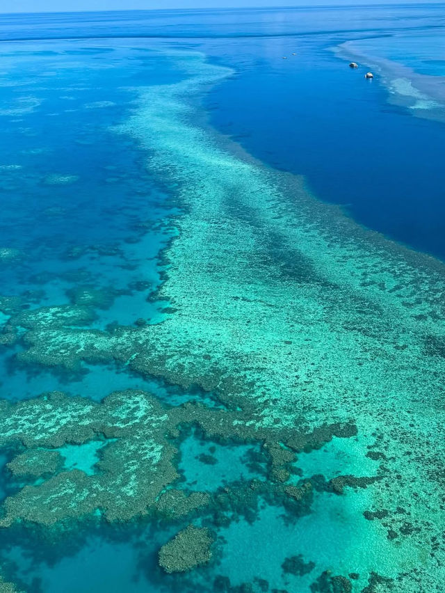🐠【海の楽園へダイブ】グレート・バリア・リーフで夢のようなひととき