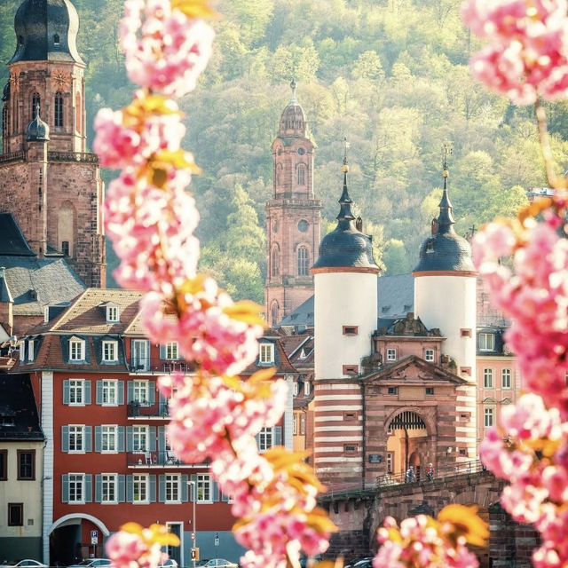 🇩🇪德國文化寶藏路線｜解鎖教科書外的德意志