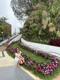 🌿"Penang Hills: Nature’s Escape Above the Island”🌿