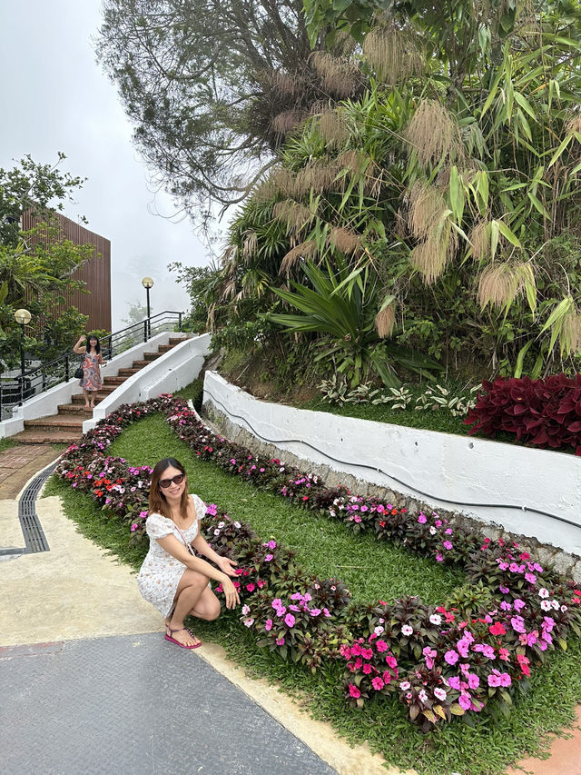 🌿"Penang Hills: Nature’s Escape Above the Island”🌿