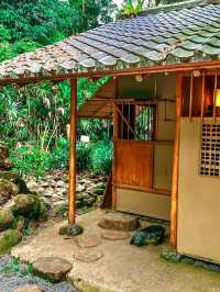 The world's first Japanese Tea House in a Tropical Forest
