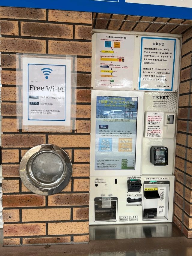 日本絕景🇯🇵在粉蝶花💜🤍海裡當一回宮崎駿主 角  